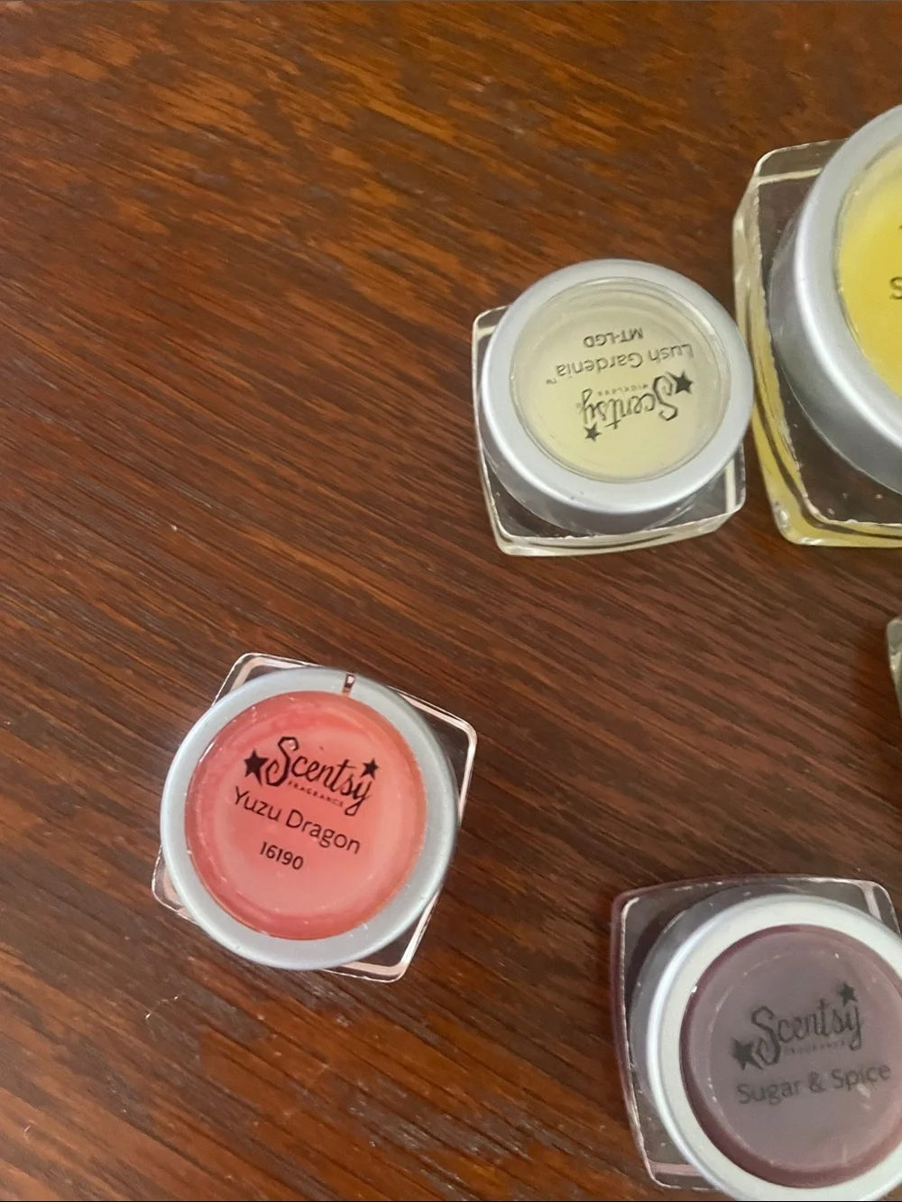 Scentsy Sampler Wax Melt Bundle - Assorted Colors
